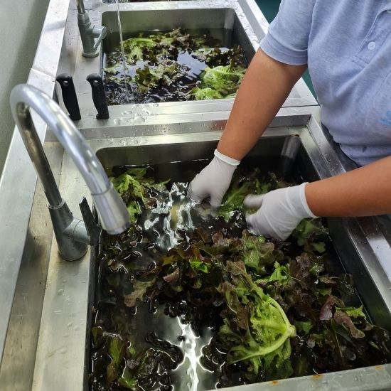 ผักสลัดรวม (Mix Salad)