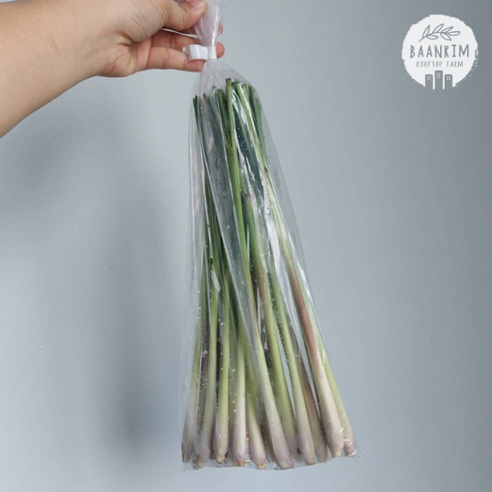 ตะไคร้ (Lemon Grass)