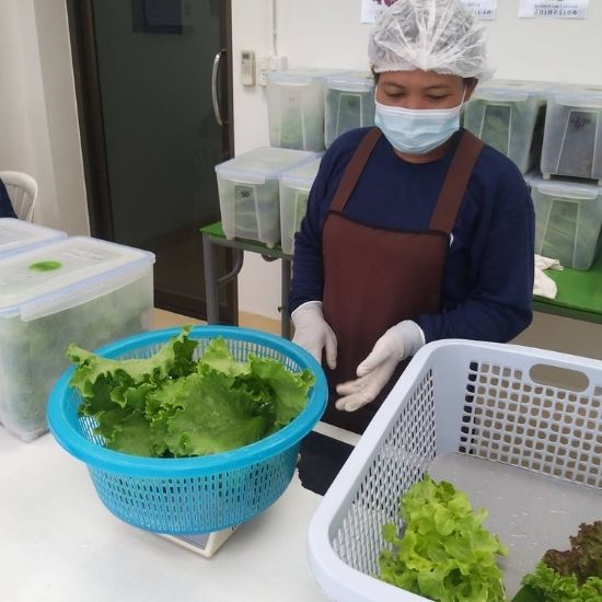 ผักสลัดรวม (Mix Salad)